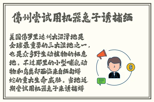 国产一卡2卡3卡4卡2021免费观看
